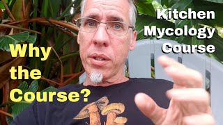 Why The Kitchen Mycology Course?