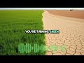 Old Man (country version)