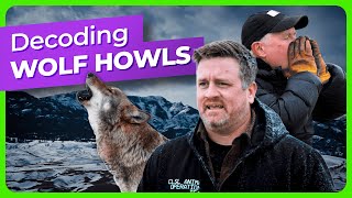 Famous Decoding Wolf Howls and Behavior with AI Wealth