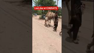 Last Day at COMSATS University | So Many Memories