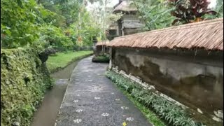 Alam Jiva - Ubud - Bali 2022