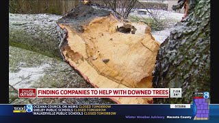 Finding companies to help clean up ice storm damage