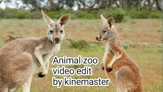 Animal zoo video edit by kinemaster||technical bilal tv ||hindi screenshot 1