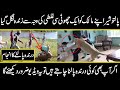 amazing developments and amazing facts about pet animals and master relations | urdu discovery