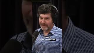 The Hidden Truths About Human Sexuality And Attraction What They Dont Tell You