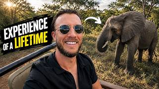 My First SAFARI in South Africa | Kapama Game Reserve