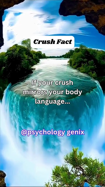 if-your-crush-mirrors-your-body-language-facts
