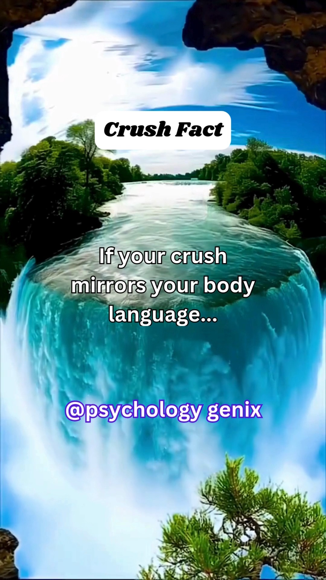 If Your Crush Mirrors Your Body Language facts If Your Crush Mirrors Your Body Language facts