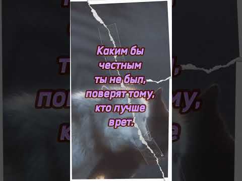 #мораль нашей жизни☝