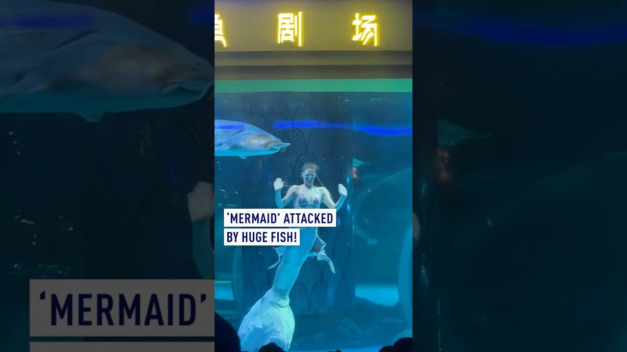 Mermaid' attacked by huge fish! - YouTube