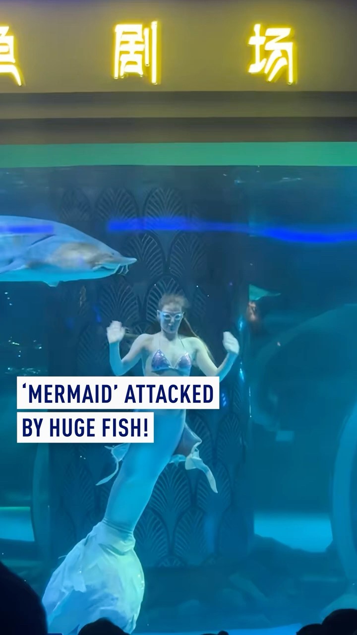 Mermaid' attacked by huge fish! - YouTube
