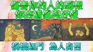 #QQ塔羅 傷害你的人的惡報，你的補償與好報