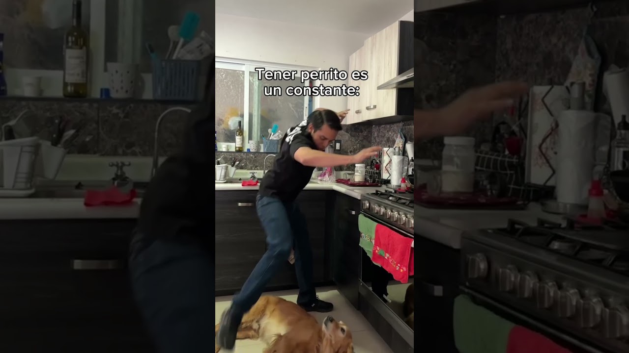 Porque siempre se acuestan así?🤣🐶 