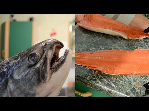 Видео: Как да пържим филе от сьомга в сусамово масло
