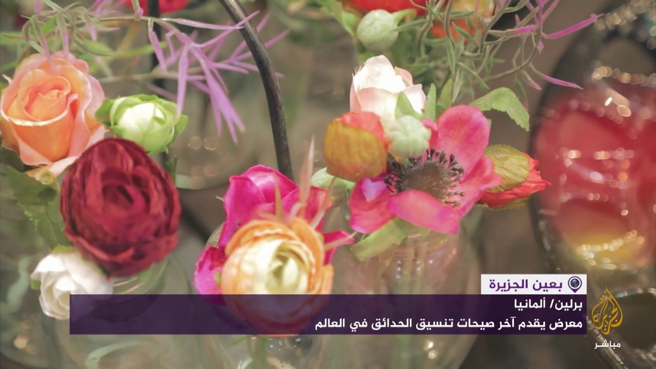 أفكار مبتكرة في تنسيق الحدائق المنزلية