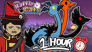 You Only Have ONE HOUR To Beat POULTRIO! - Battle Cats RETURNER MODE