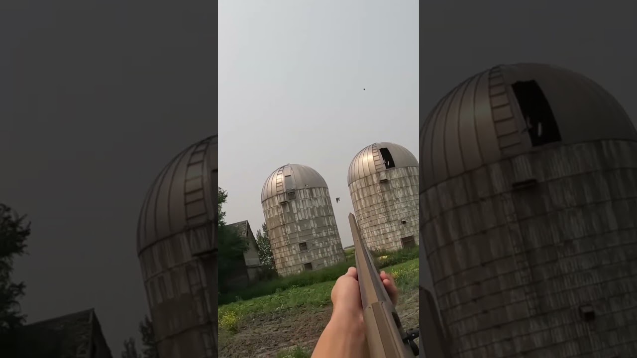 Незабываемый опыт охоты на птиц в дикой природе