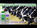 Консервант (закваска) для силосу, сінажу, жому, зерна, рослинних залишків - Літосил ENZIM