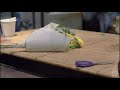 艾瑞兒花藝Ariel's Flower    ▌ 花店日常〔第一集〕