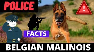 Belgian Malinois dog facts in Hindi | Military Working Dogs and Police Dogs by I LOVE DOGS 647 views 2 years ago 3 minutes, 51 seconds