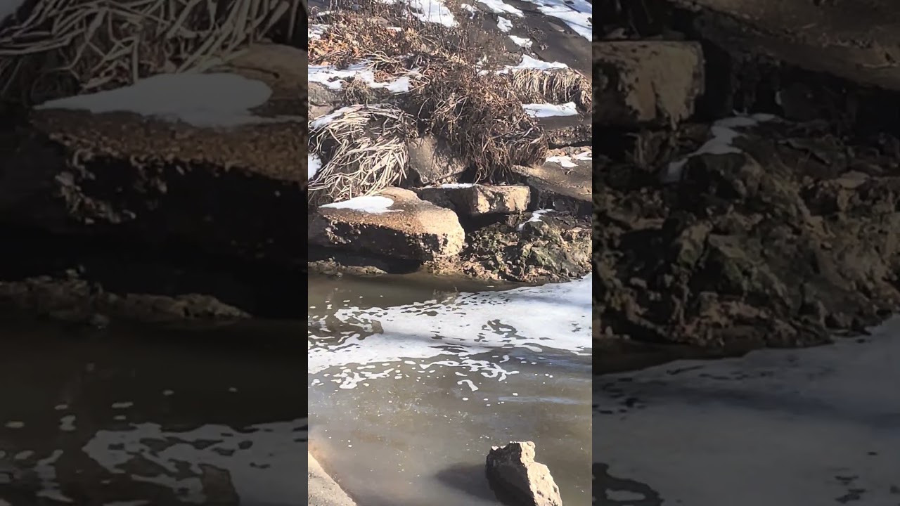 Brisk flow on Hidden Falls on cool, snow melting day.