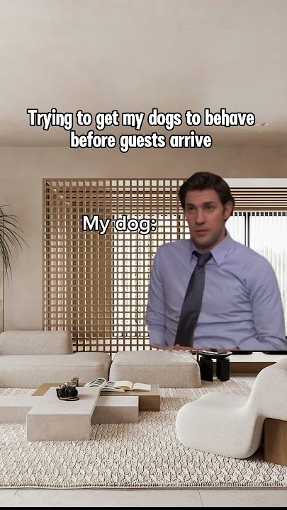 I love dog memes 😂 #shorts #dogs #funny #relatable