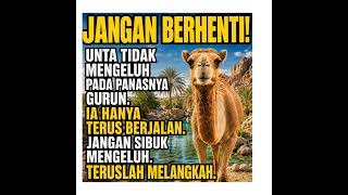 Jangan Berhenti!#motivasihidup #katabijak #fypindonesia#Humanisme#videoshort