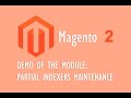 Demo of the module: Partial Indexers Maintenance