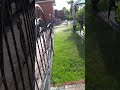 Поливная система Hunter