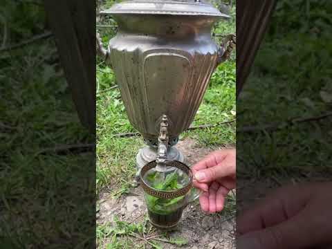 Дагестан. Горы. Травяной