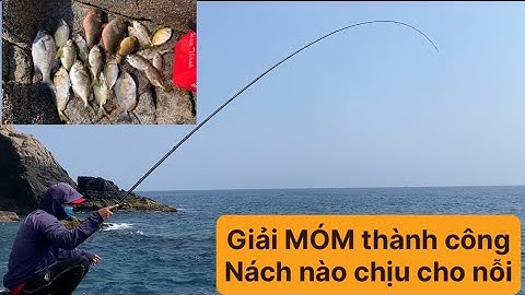 Câu Cá Biển Tự Nhiên, Giải Móm Thành Công, Câu Ghềnh, Cá Dò, Cá Dìa, Cá Mó, Cá Tà Ma. TÝ FISHING.