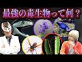 くられ先生の選ぶ 最強の毒生物