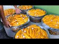 Mullet Roe Harvesting! Luxurious Fish Roe Making, Fried Mullet / 頂級烏魚子製作 - Taiwanese Food