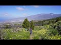 Frühlingswanderung auf La Palma - Von San Nicolás zum Vulkan San Juan