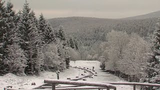La Neige A Fait Son Retour Dans Le Centre De Lallemagne Resimi