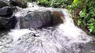 Sounds Alluring: Water Flow ASMR"