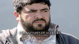 Video thumbnail of "Los Andares de Alfredo - Novillos de la Sierra 2021"