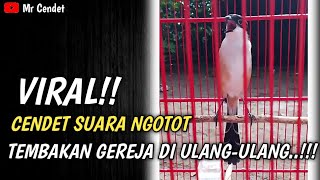 Viralcendet Ngotot Tembakan Gereja Di Ulangulang 