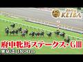 【府中牝馬ステークス・GⅢ】府中牝馬S 東京 芝 1800m 2026 レース  【みんなのKEIBA】