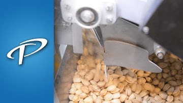 Bagging Scale | Net Weigh Scale for nuts and other granular products (E-55 Series)
