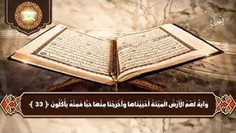سورة يس | لتقوية الذاكرة و زيادة الذكاء وفتح خلايا المخ ❤🌸🍃