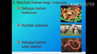 Pelestarian Lingkungan, Materi PLH kelas 3 SD