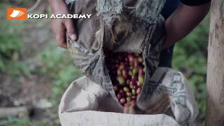 Download Lagu KOPI ACADEMY | karena dari alam kita bisa banyak belajar MP3