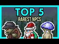 TOP 5 Rarest NPCs in Terraria 1.4