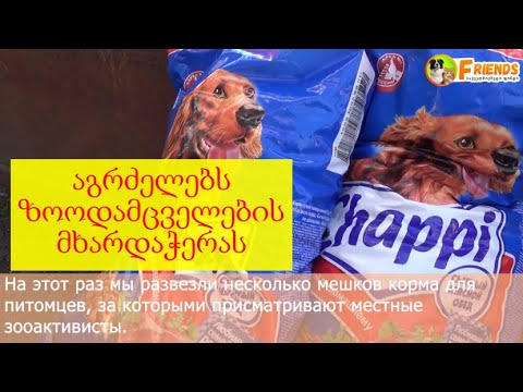 საქველმოქმედო ფონდი საქართველოს მეგობრები აგრძელებს ზოოდამცველების მხარდაჭერას