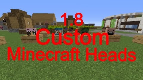 How to get custom heads Minecraft 1.8