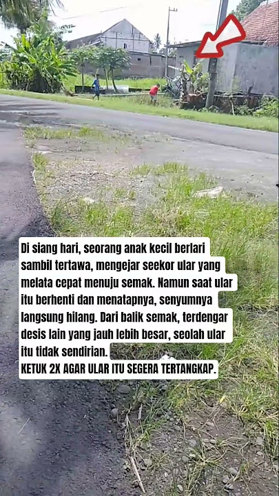 Ular itu hendak di tangkap oleh 4nak K3cil #shorts