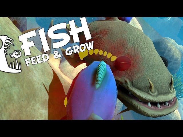 PIRANHAS VS CATFISH & NEW RIVER LEVEL! - Feed and Grow: Fish 