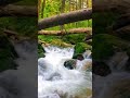 ASMR River Sounds You Need Right Now #totranature #shorts