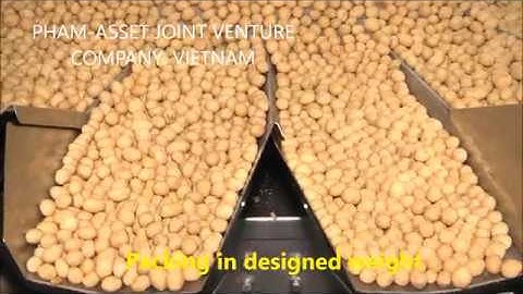 COATED PEANUT PRODUCTION LINE PHAM ASSET